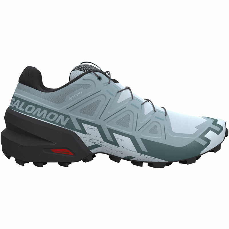 Speedcross 6 GTX | Trail