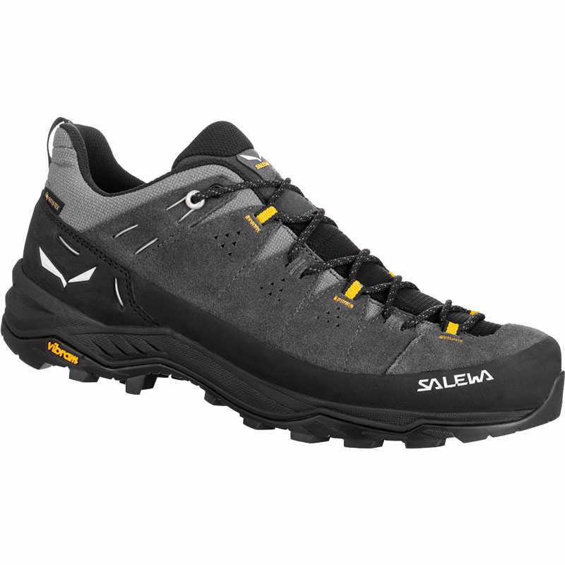 Alp Trainer 2 GTX