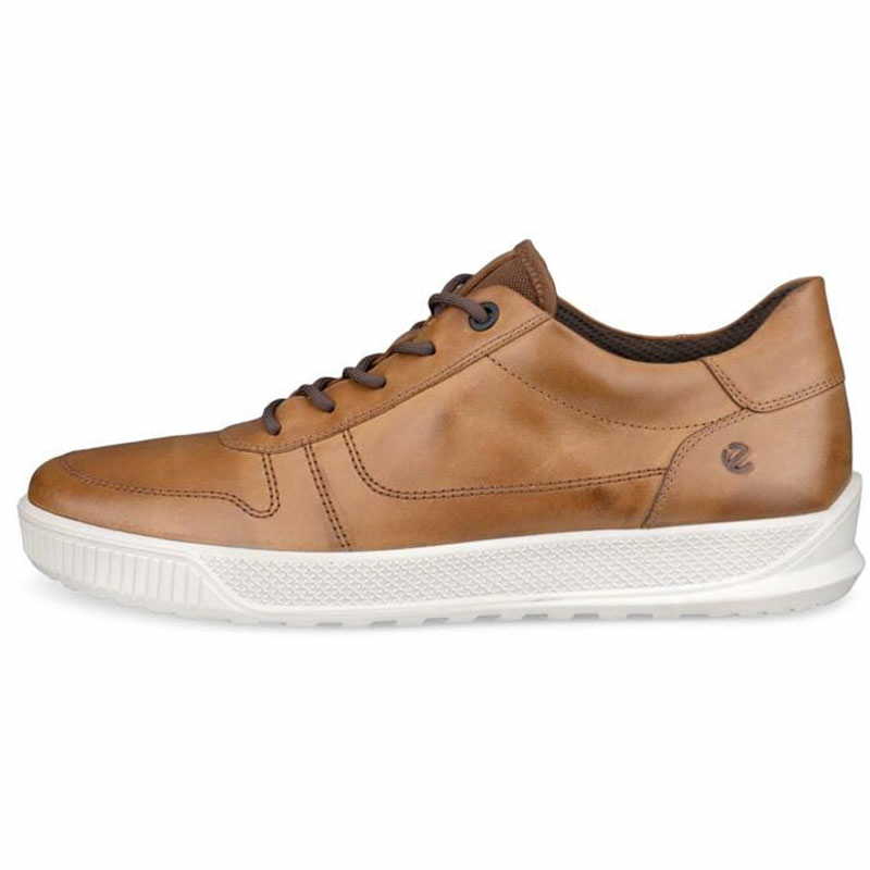 501674 | camel