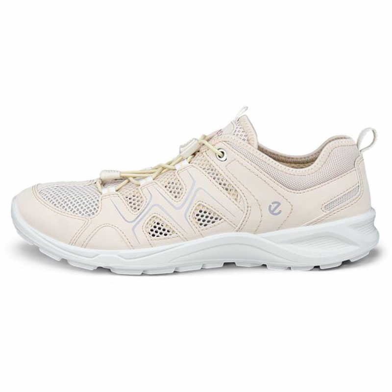 825773 | limestone
